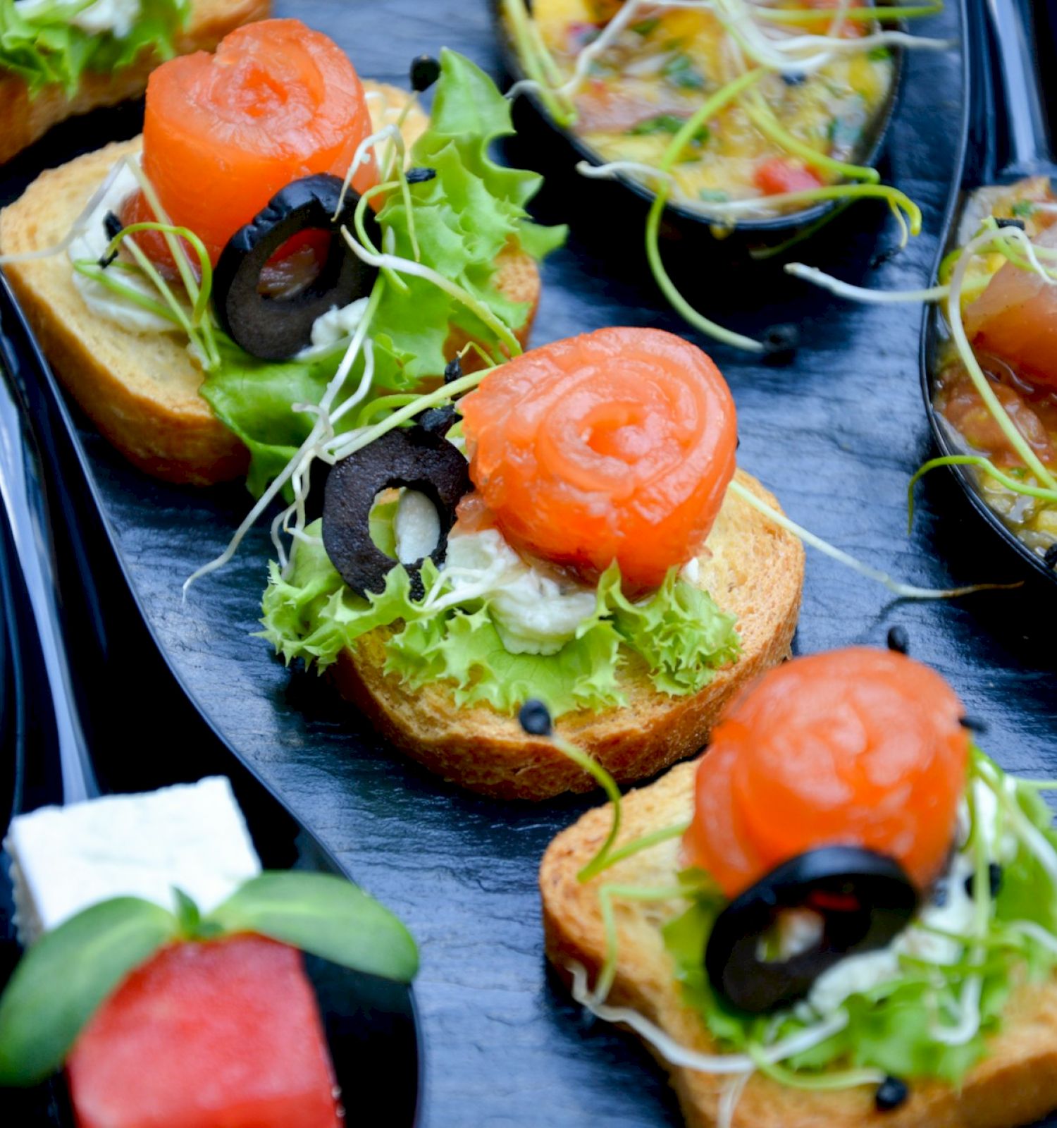 This image shows an assortment of gourmet appetizers, including bruschetta with salmon and black olives, watermelon with cheese, and tuna tartare on spoons.
