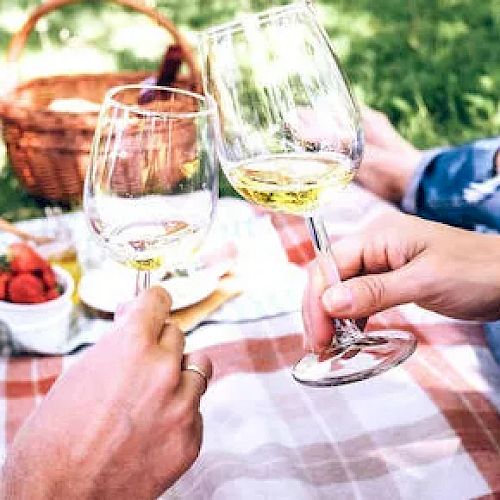 Two people are toasting with wine glasses at a picnic, with a basket, strawberries, and a blanket in the background.