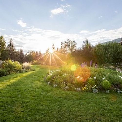 A scenic garden with vibrant flowers, lush green grass, and sun rays peeking through trees at dawn or dusk, with a building in the background.